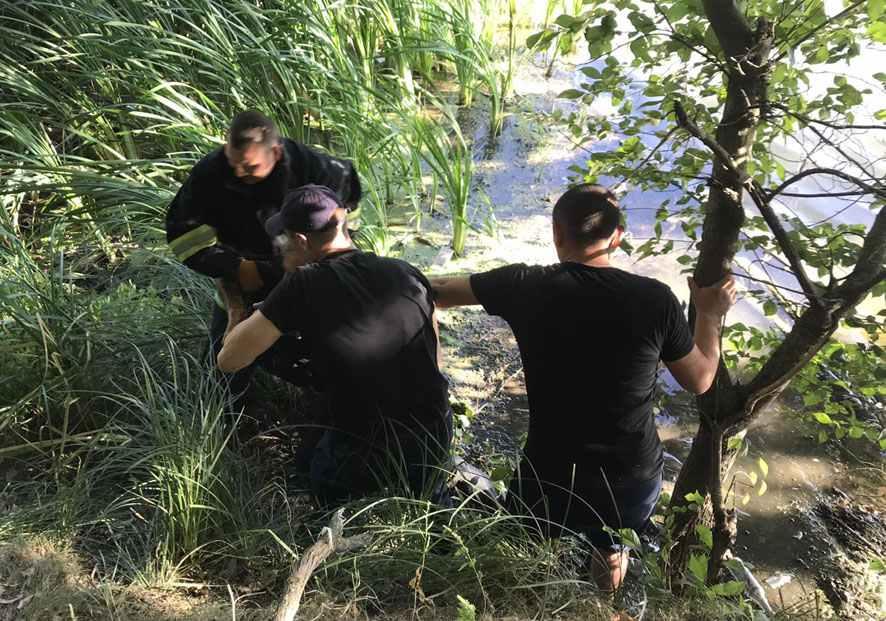 На Полтавщині з водойми витягли чоловіка, який застряг в мулові