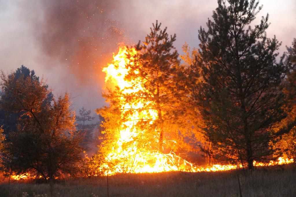 Військові на Донбасі продовжують гасити пожежі: двоє бійців зникли безвісти