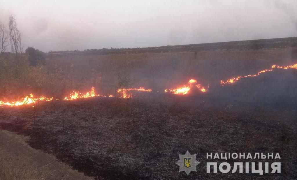 На Полтавщині згоріло поле кукурудзи: поліція розслідує підпал