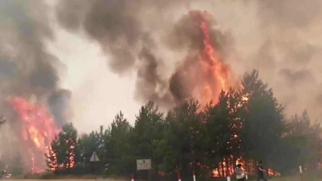 Полтавські рятувальники та лісівники вирушили на Луганщину ліквідувати лісові пожежі