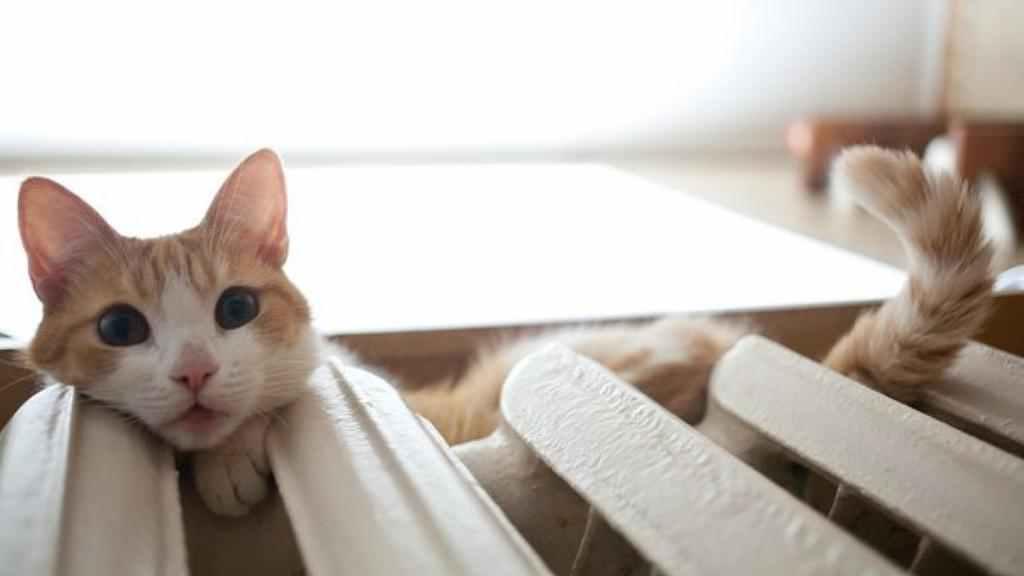 Полтавці заплатять менше за опалення у січні