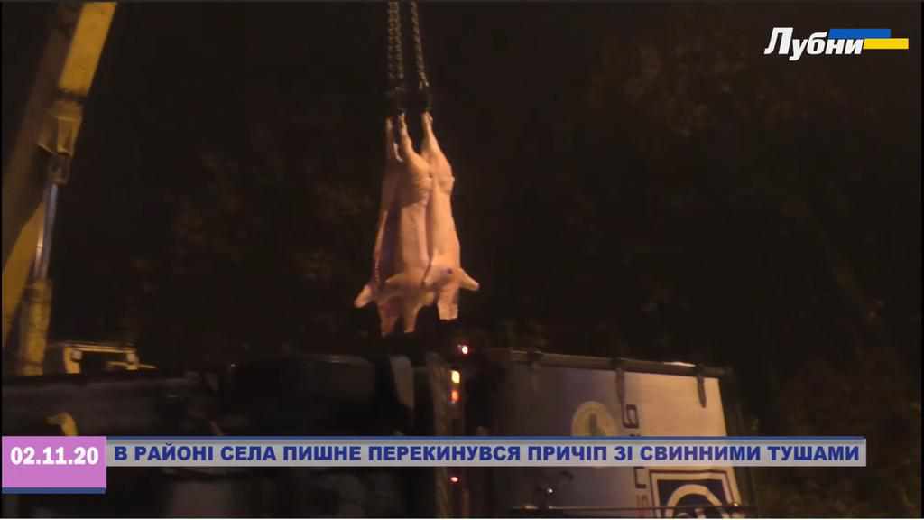 На Полтавщині перекинулася фура з тушами свиней: перевантажували краном. ВІДЕО