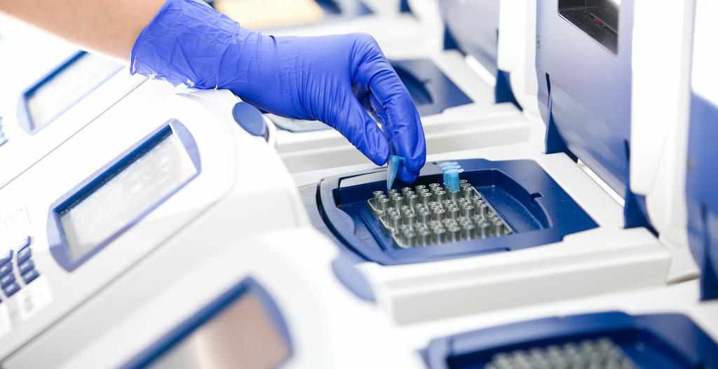 Столична лабораторія «забракувала» близько півтори тисячі аналізів на коронавірус з Полтави