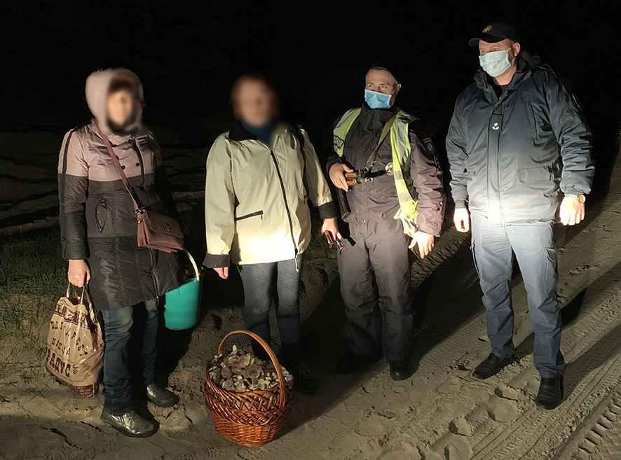 На Полтавщині дві жінки пішли по гриби та заблукали в лісі