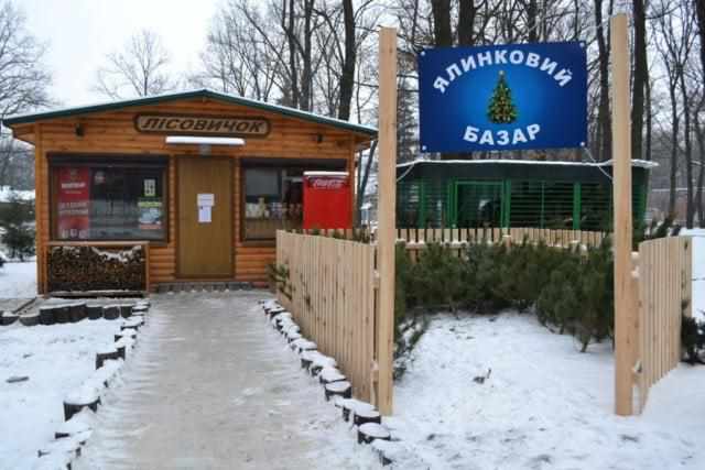 Купити ялинку в Полтаві: скільки коштують новорічні деревця від лісівників та де придбати