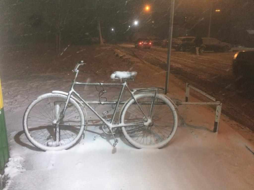 На Полтавщині випав сніг: коли чекати у Полтаві. ФОТО 