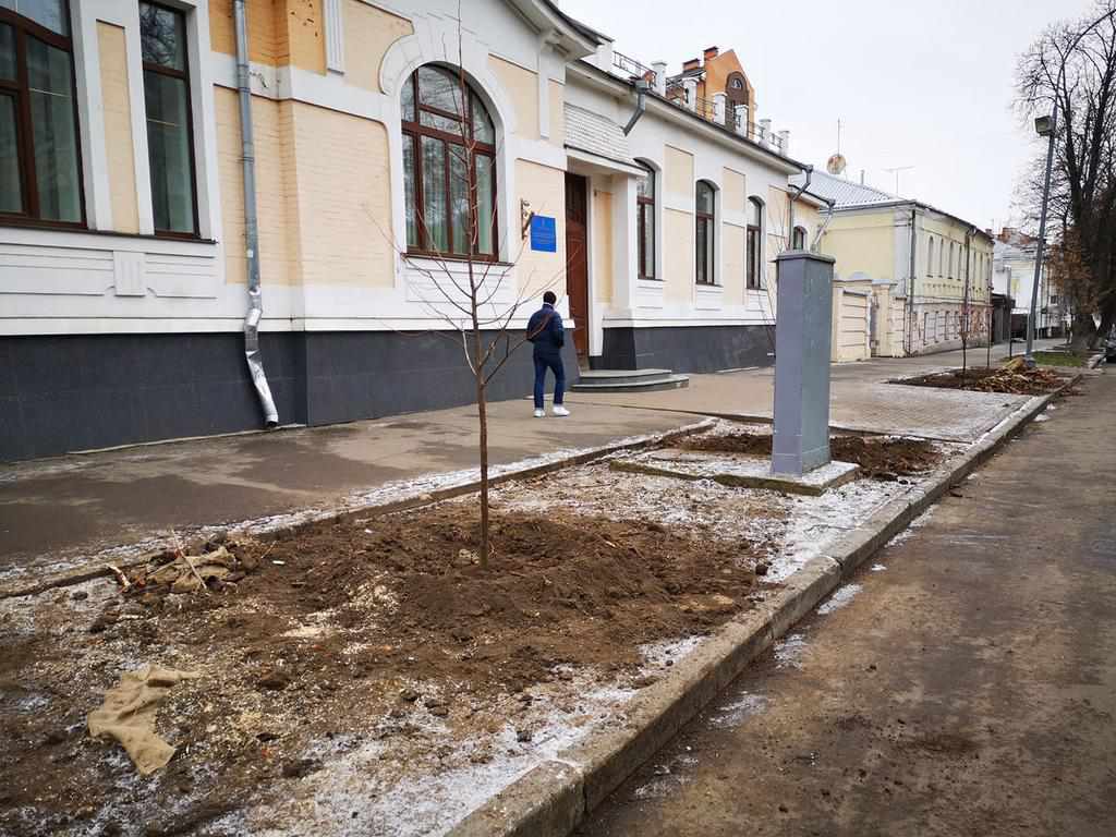 Біля центрального ДРАЦСу Полтави замість спиляних дерев висадили липи і горобини
