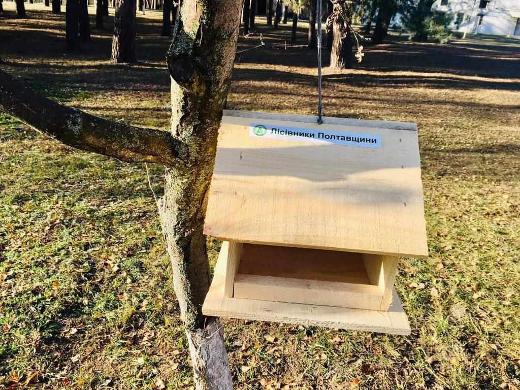 Нагодуй птахів взимку: на Полтавщині лісництва виготовили годівнички