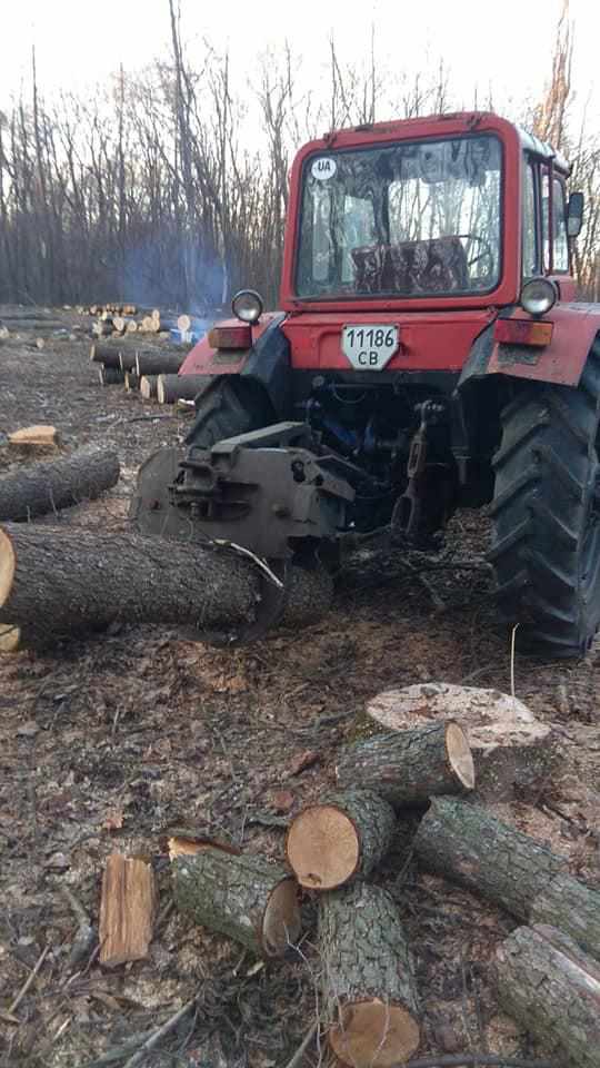На Полтавщині вирубують ліс: жителі нарікають на незаконність