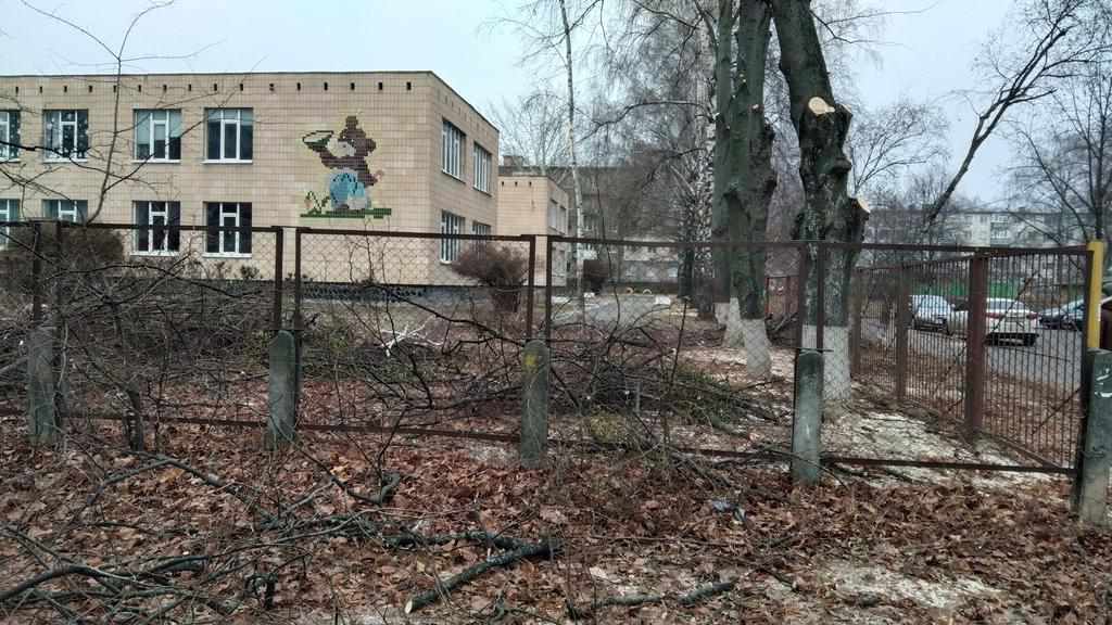 У Полтаві на території школи спиляли дерева. ФОТО