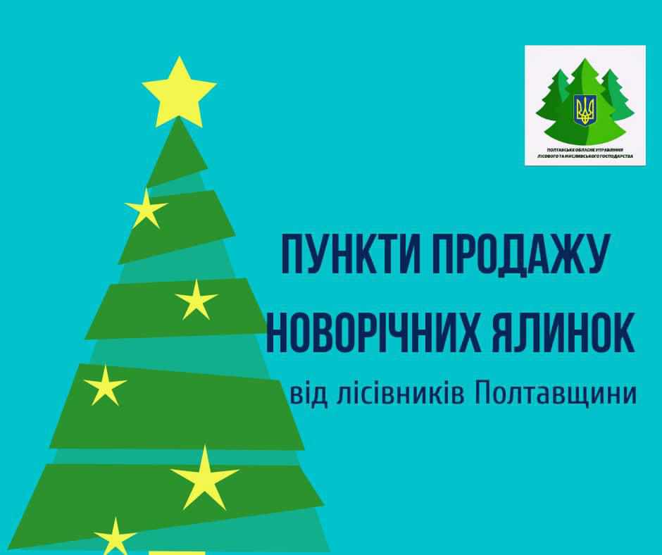 Де на Полтавщині придбати ялинку, адреси та телефони