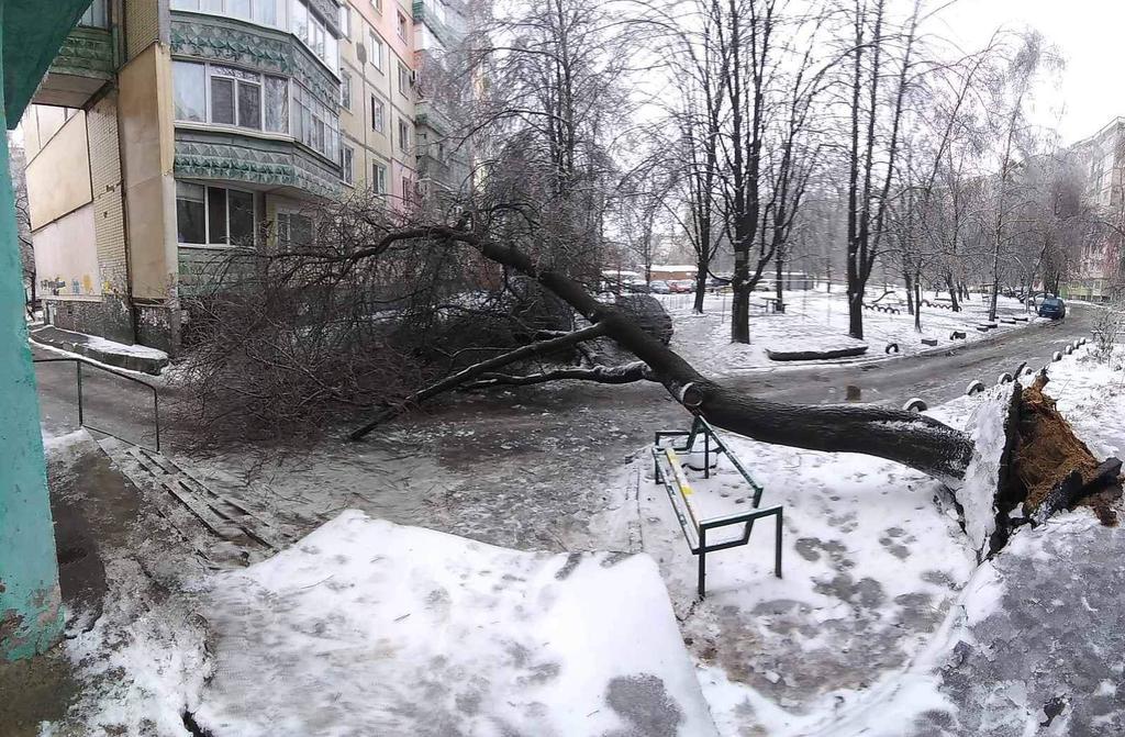 Полтава опинилась у льодовому полоні: ожеледь, тролейбуси стали. ФОТО, ВІДЕО