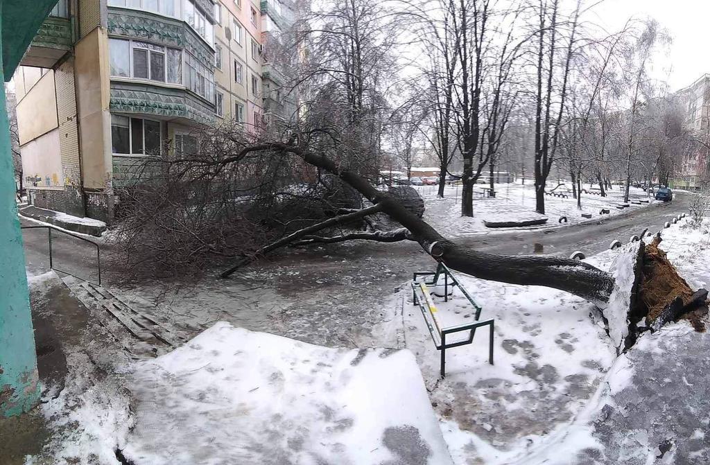 Полтава опинилась у льодовому полоні: ожеледь, тролейбуси стали. ФОТО, ВІДЕО 