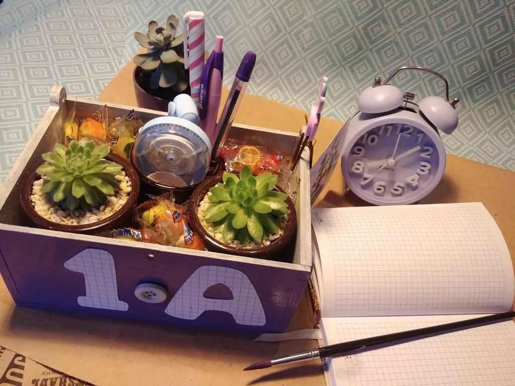 Новорічні іграшки з фарбованим мохом усередині та картини з рослин: полтавка створює цікаві композиції з сукулентів