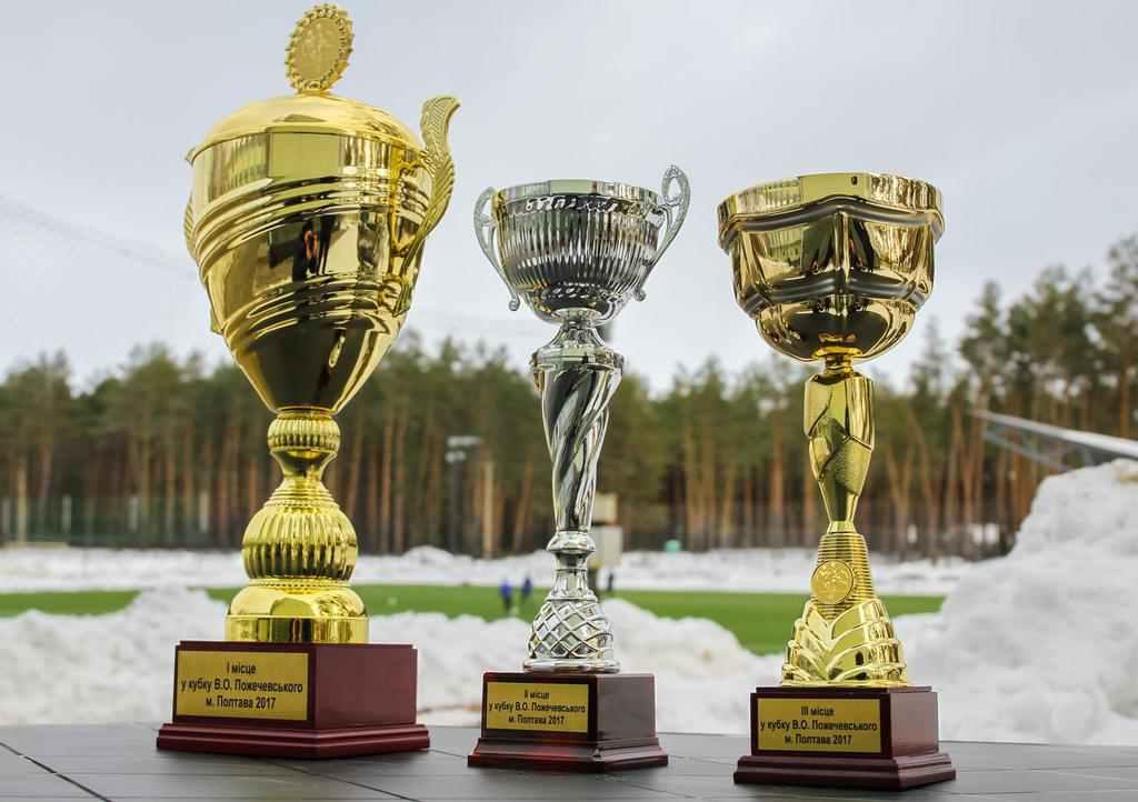 Кубок Пожечевського поїхав у Кременчук