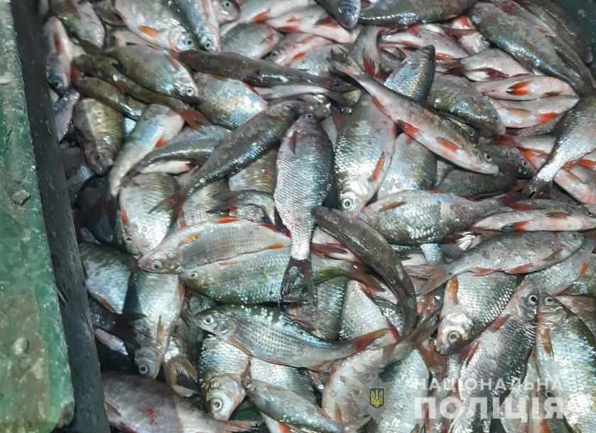 На Полтавщині зловили браконьєра з рибою на понад 100 тисяч гривень ФОТО