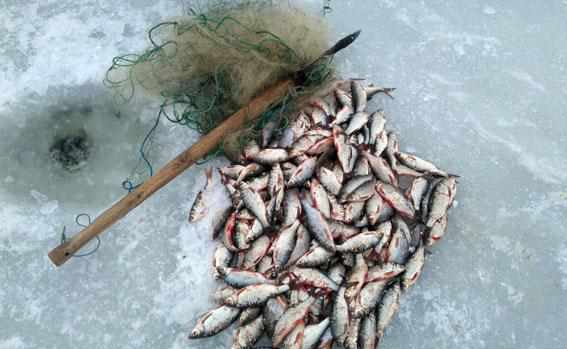 На Полтавщині чоловік незаконно наловив риби на дев’ять тисяч гривень