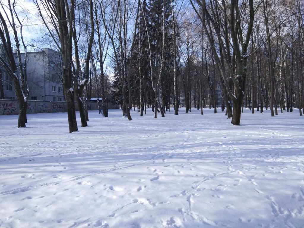Погода в Полтаві в День закоханих та якою буде далі. ФОТО