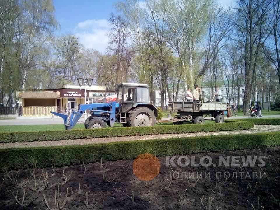 У Полтаві хочуть реорганізувати КП «Декоративні культури»