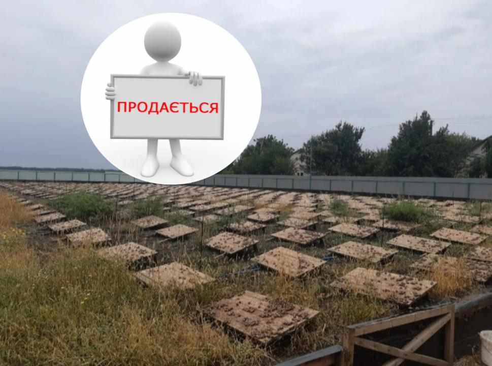 На Полтавщині продають равликову ферму «під ключ»
