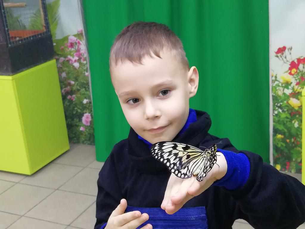 Виставка метеликів у Полтаві: кого можна побачити. ФОТО