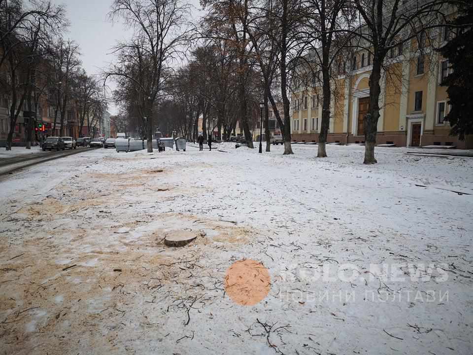Чому спиляли липи на території пам’ятки природи біля театру Гоголя в Полтаві