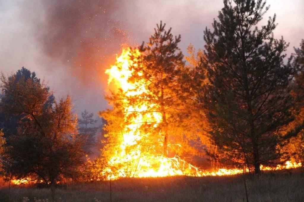 В Україні збільшили штрафи за порушення вимог пожежної безпеки