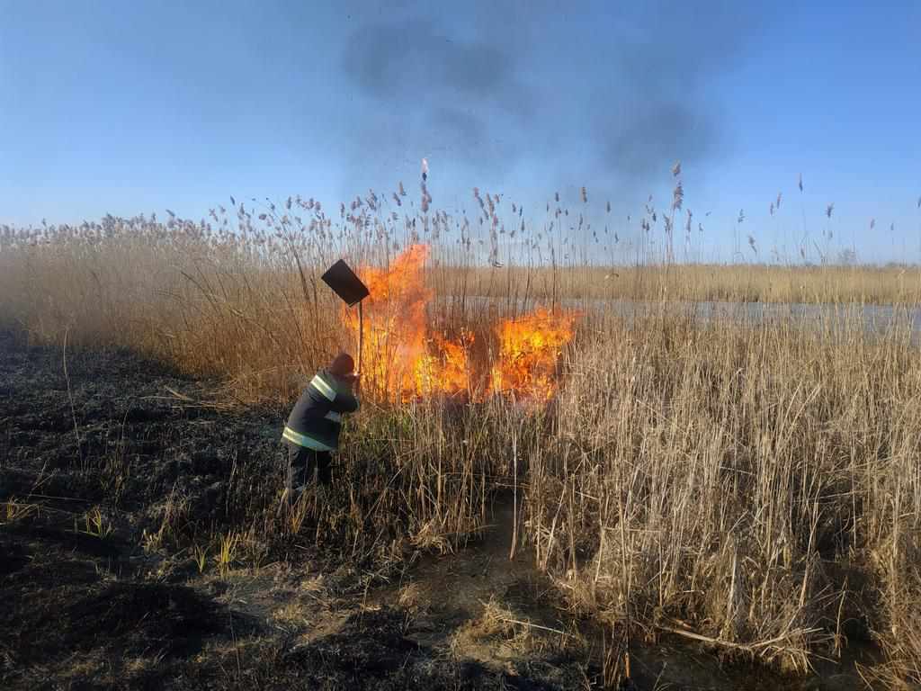 На Полтавщині розпочався сезон пожеж: масово горить очерет і суха трава 