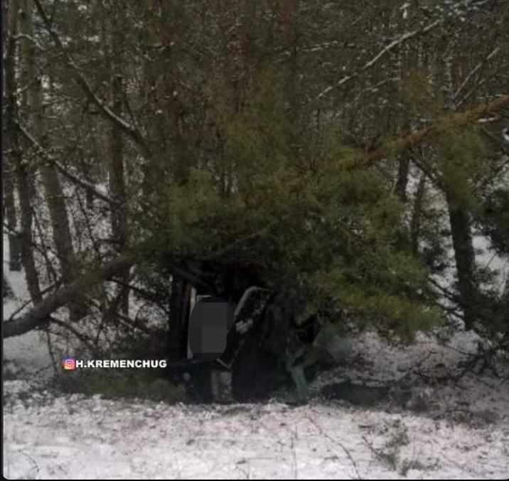 ДТП на Полтавщині: авто в'їхало в сосну
