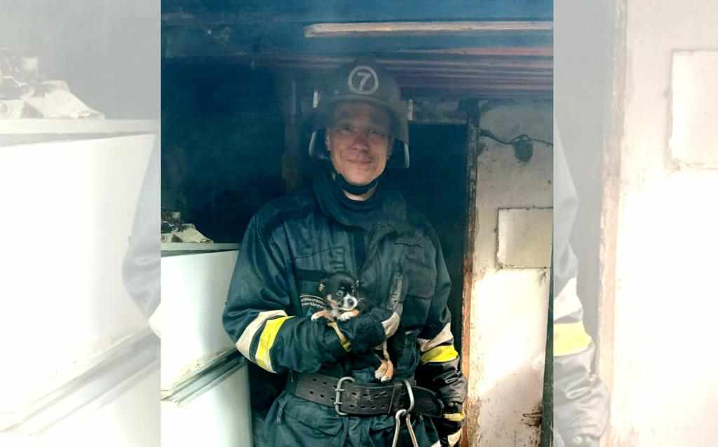 На Полтавщині з палаючого будинку врятували цуценя. ФОТО