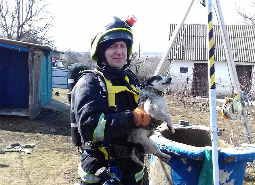 На Полтавщині з 20-метрового колодязя рятували собаку