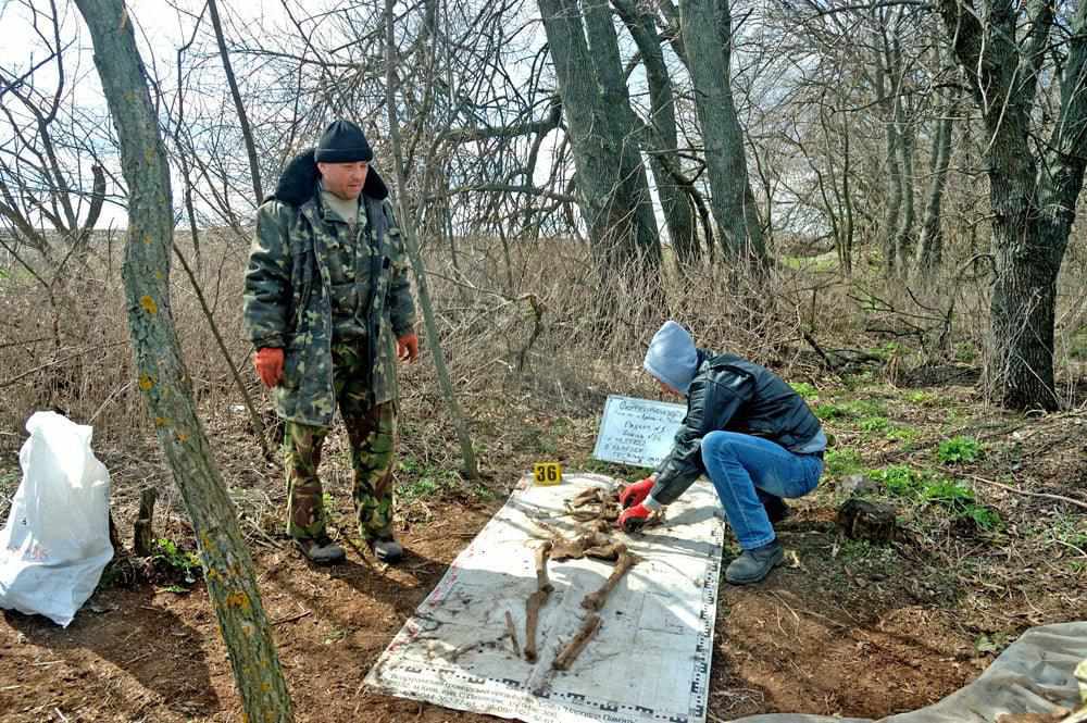 На Полтавщині знайшли рештки кількох десятків бійців Другої Світової війни. ФОТО