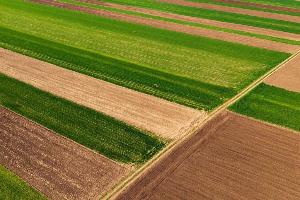 На Полтавщині у фермера заберуть землю на 15 млн грн, отриману в оренду незаконно
