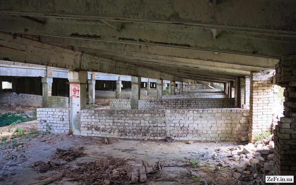 На Полтавщині на підлітка впала стіна на закинутій фермі