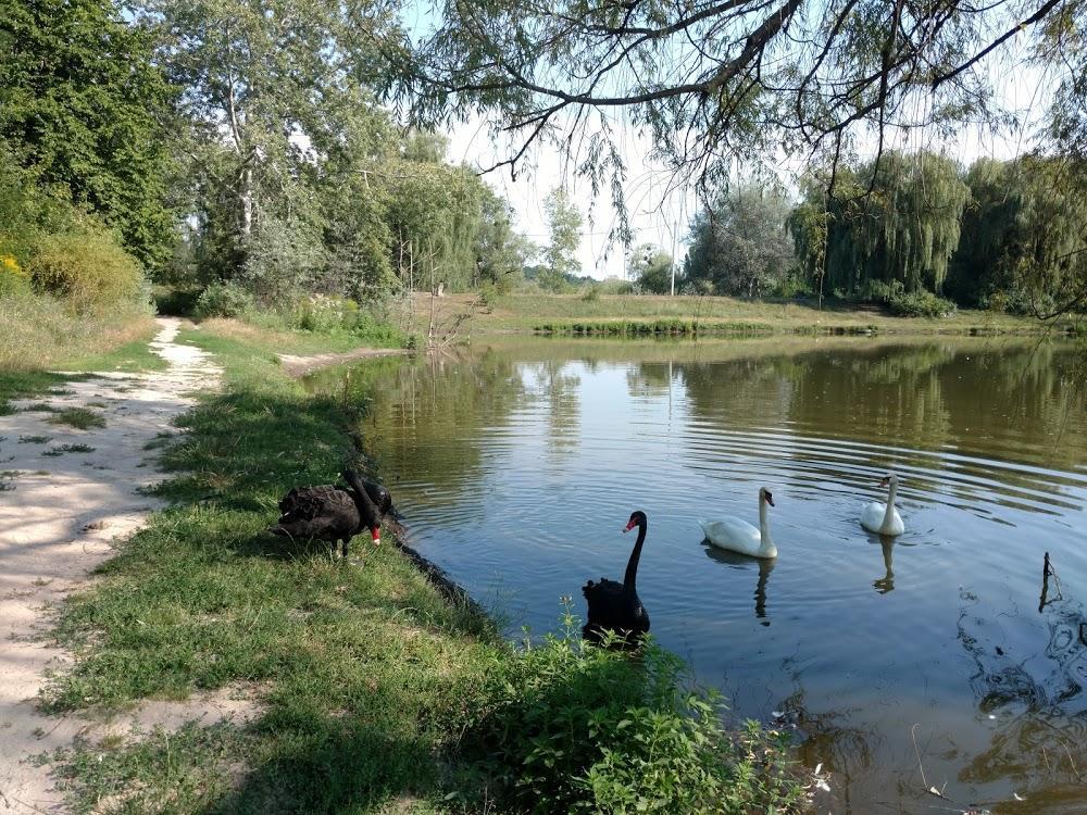На ремонт полтавського дендропарку планують витратити понад мільйон гривень