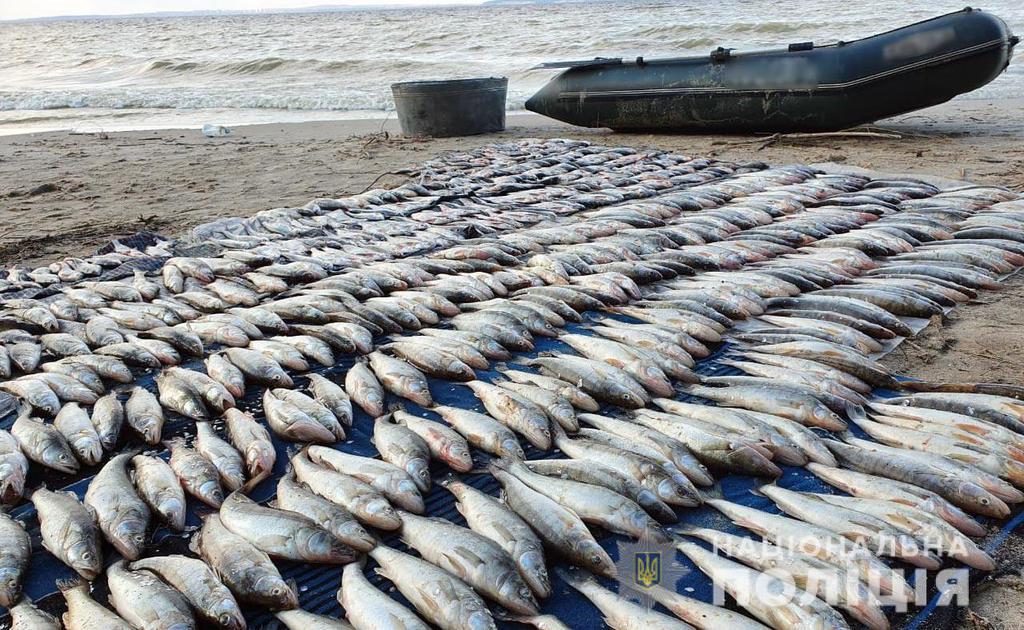 На Полтавщині браконьєр наловив риби на 200 тисяч гривень