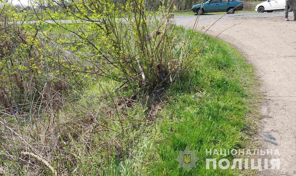 На Полтавщині тіло 17-річної дівчини знайшли на узбіччі дороги