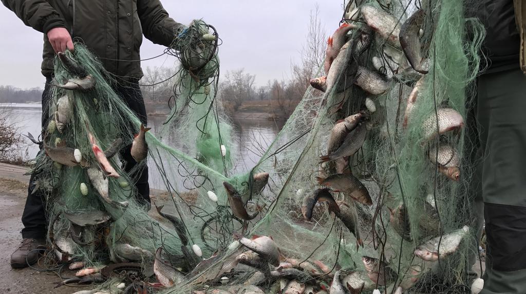 Фотографував браконьєрів: на Полтавщині побили журналіста