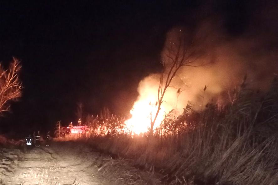 У лісі на Полтавщині виникла пожежа: попереджають про високий рівень пожежної небезпеки