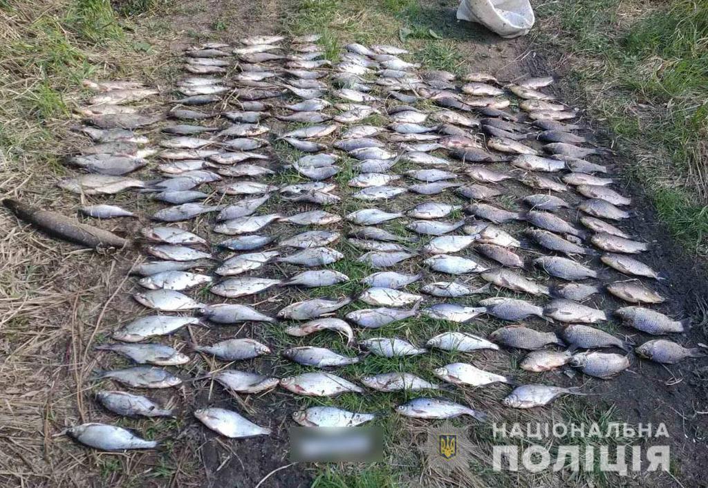 Браконьєр на Полтавщині виловив риби на 13 тисяч гривень