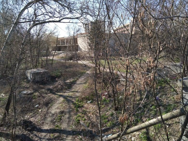 До сотні дерев у Прирічковому парку Полтави визнали аварійними й спиляють