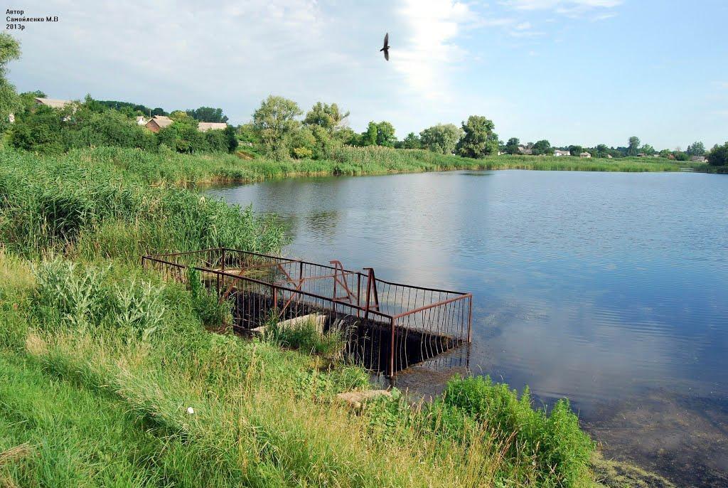На Полтавщині хлопець замість школи пішов гуляти до ставка