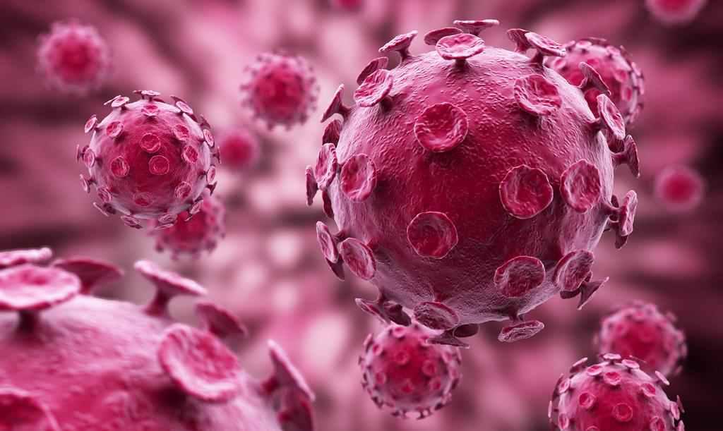 Два-три кілограми власних бактерій керують поведінкою та здоров’ям людини