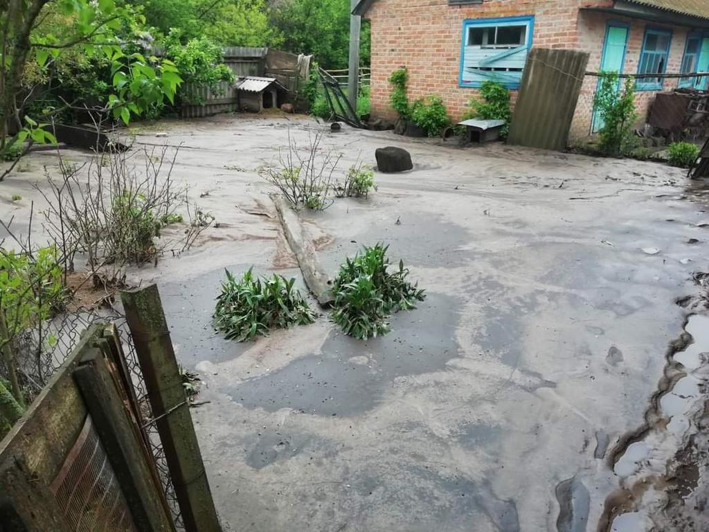 Залиті двори, побита градом городина: наслідки зливи на Полтавщині
