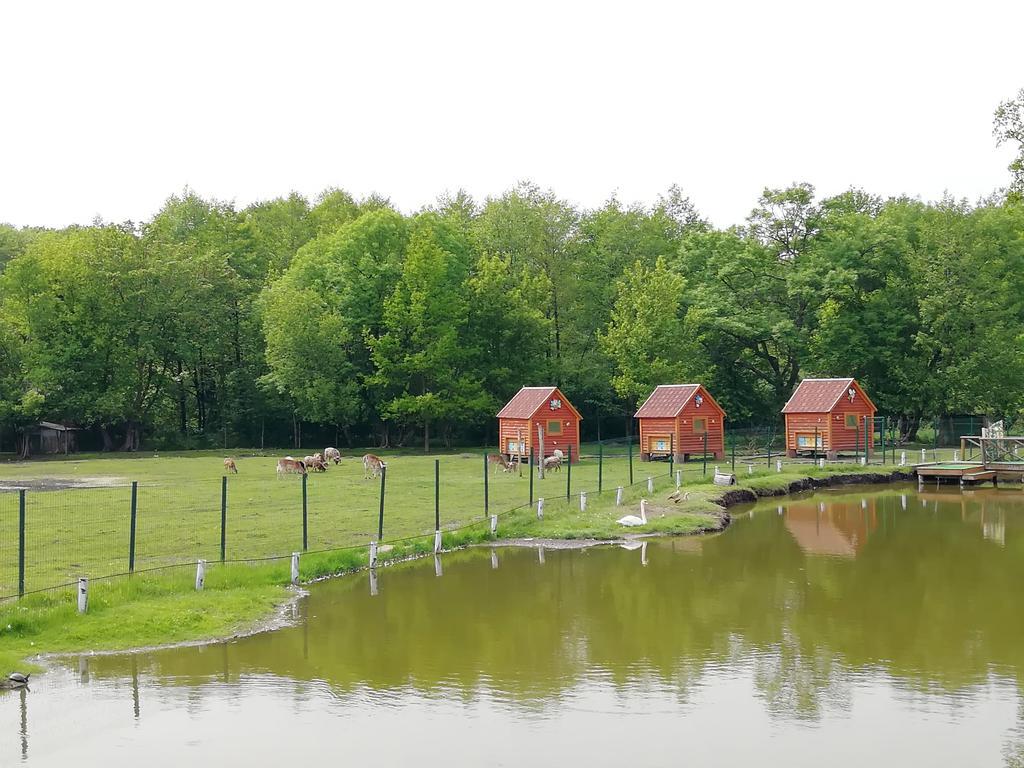 Під Полтавою безкоштовно можна побувати в екопарку, але відвідувачі роблять шкоду. ФОТО