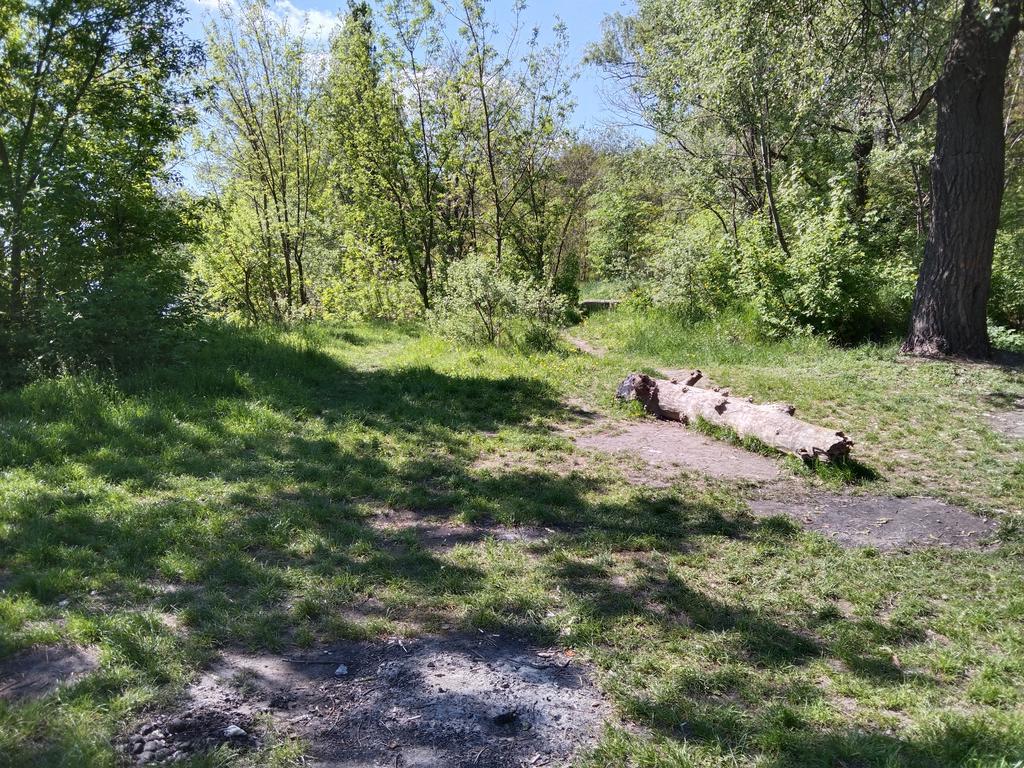 В Прирічковому парку в Полтаві робитимуть місця для відпочинку