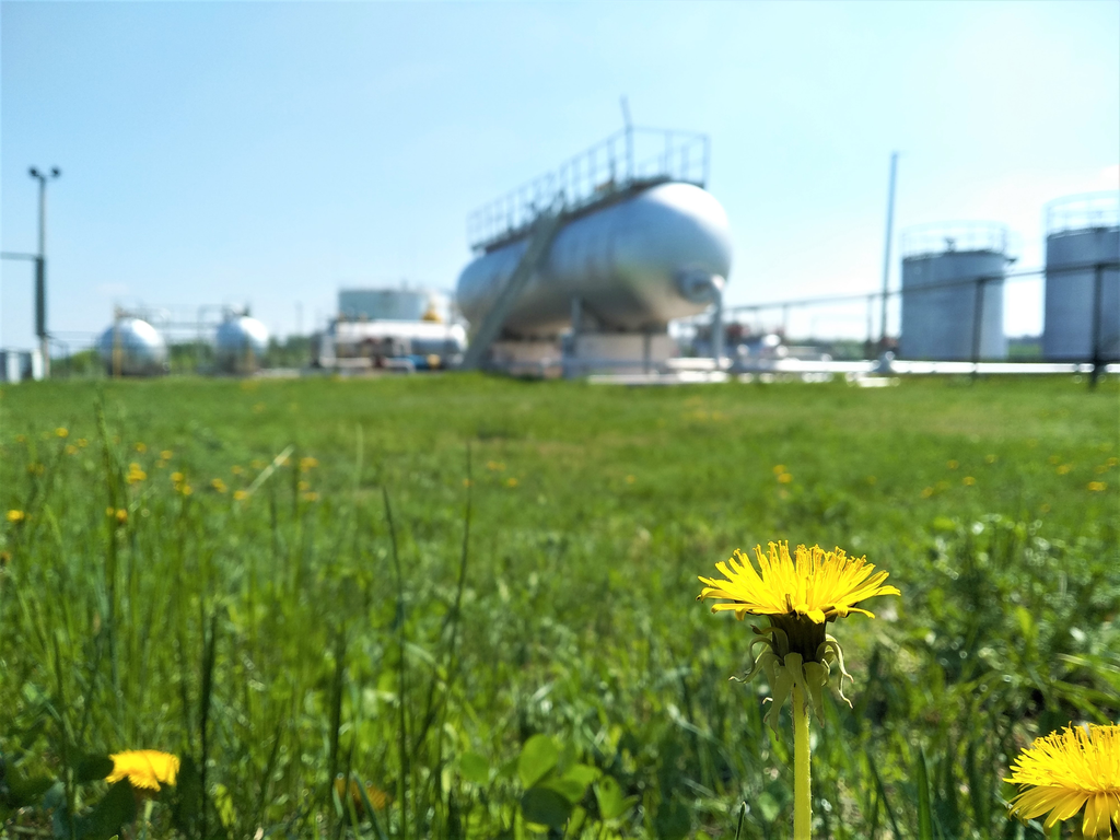 За 4 місяці 2021-го «Укрнафта» сплатила громадам Полтавщини 17,5 мільйона гривень ренти