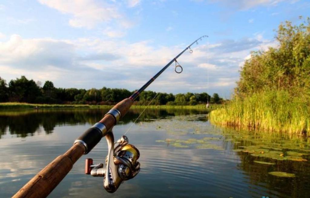 На Полтавщині дитину вдарило струмом під час змагань з риболовлі: подробиці