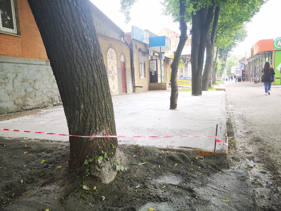 Закатали в бетон: у Полтаві забетонували тротуар разом із деревами. ФОТОФАКТ