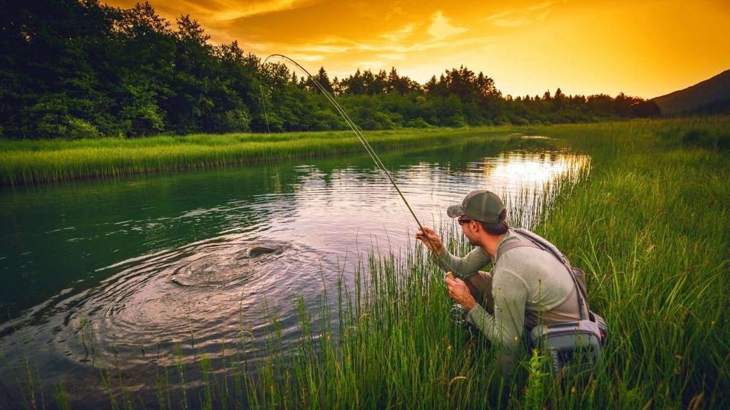 На Полтавщині зняли нерестову заборону на риболовлю, але не скрізь і є обмеження на розмір риби